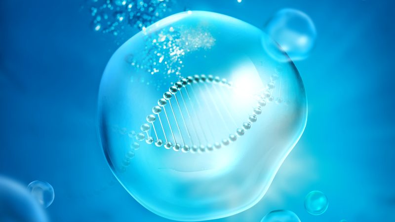 宠物健康监测：PCR检测与血常规的优劣势对比**