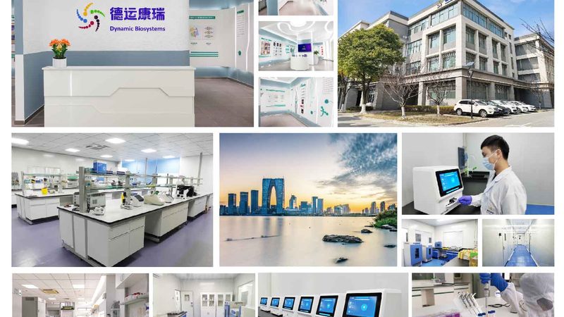 治疗性单克隆抗体定制：揭秘定制化药物的研发奥秘