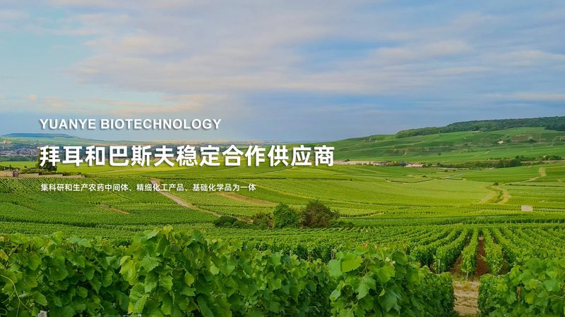 过期培养基回收再利用，生物实验室的绿色之路**