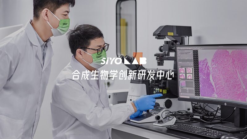 细胞工厂安装，这些步骤不能少**