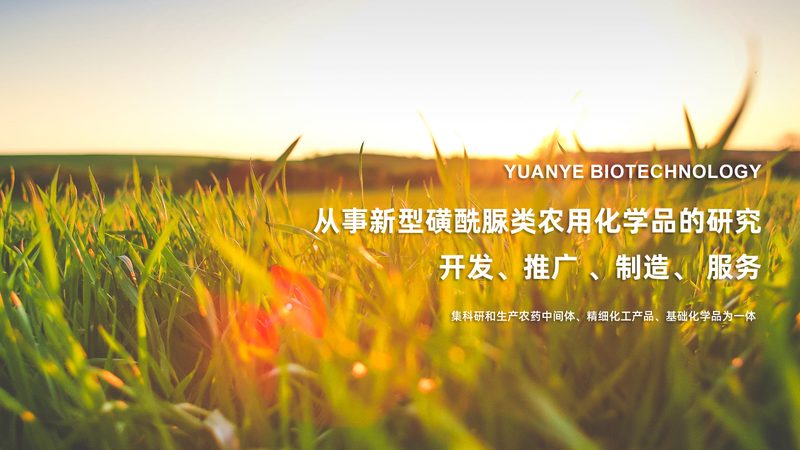 细胞工厂层数与培养面积：揭秘影响生物制药效率的关键因素