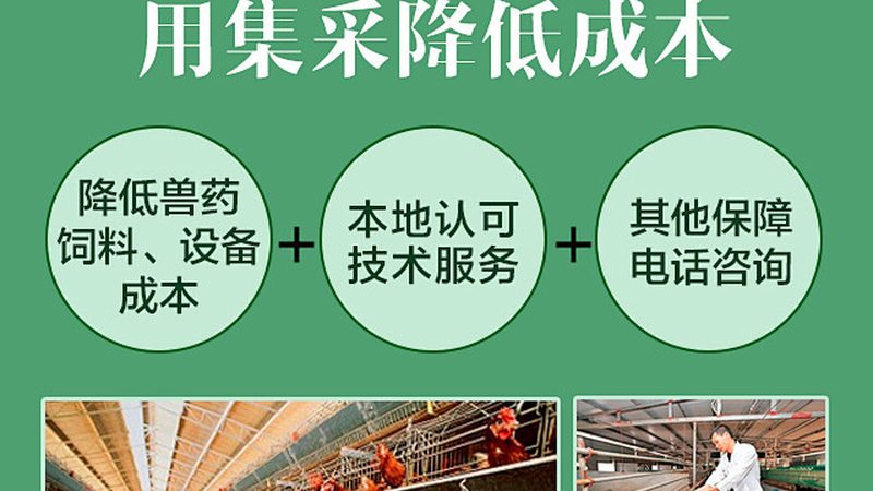 上海生物医药外包服务资质要求：合规之路的必备要素