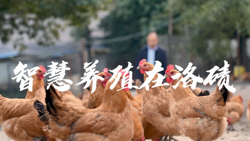 生物制品原料批发：揭秘其背后的技术密码**