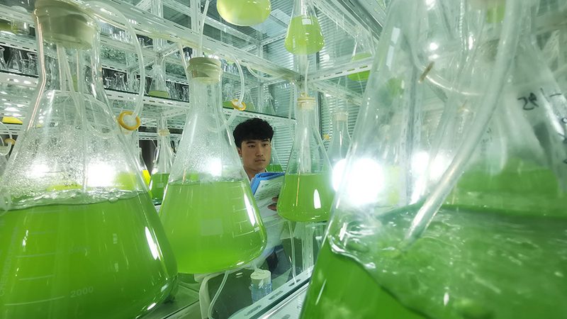 实验室耗材报价清单：如何正确解读与选择